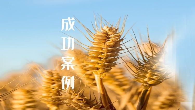 2022年新年之际，谷德律师成功办理一起申请公司破产清算案