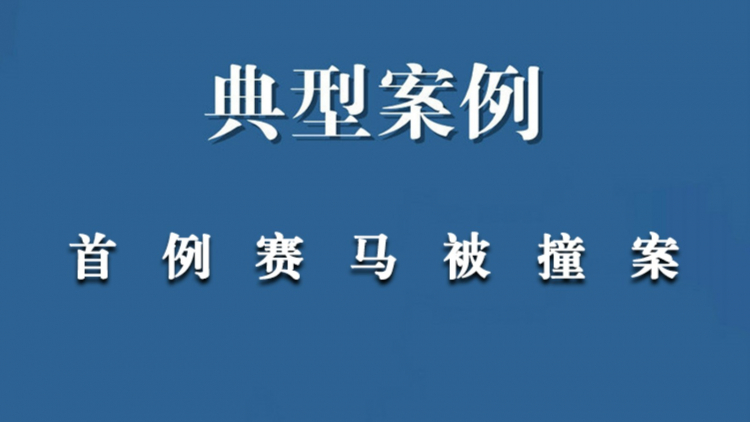 毛某明诉毛某平、中国太平洋财产保险股份有限公司岳阳中心支公司机动车交通事故责任纠纷一案