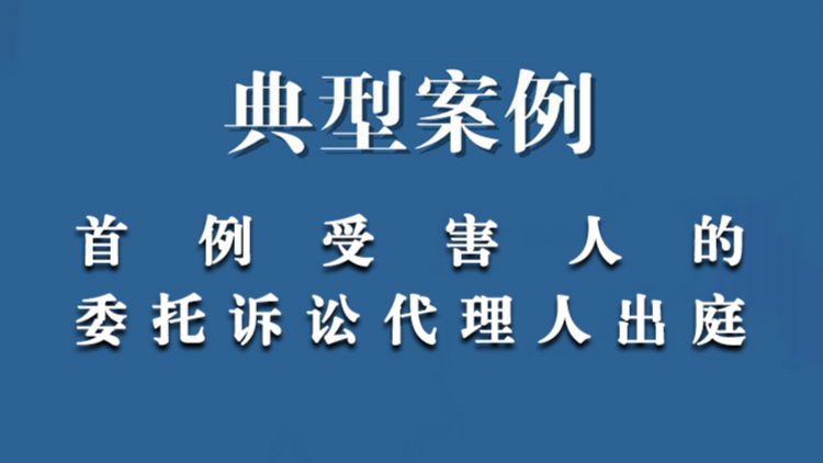 帮助信息网络犯罪活动一案，代理受害人出庭应诉获得赔偿