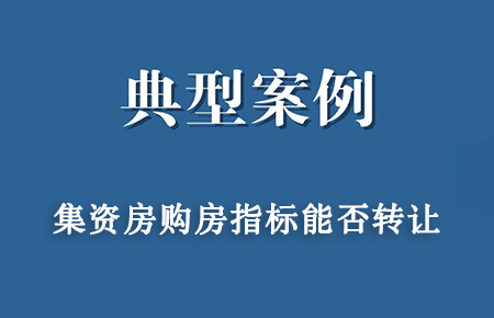 经典案例：陈某、张某、文某等数十人与唐某、湖南某置业公司等人房屋买卖合同纠纷系列案